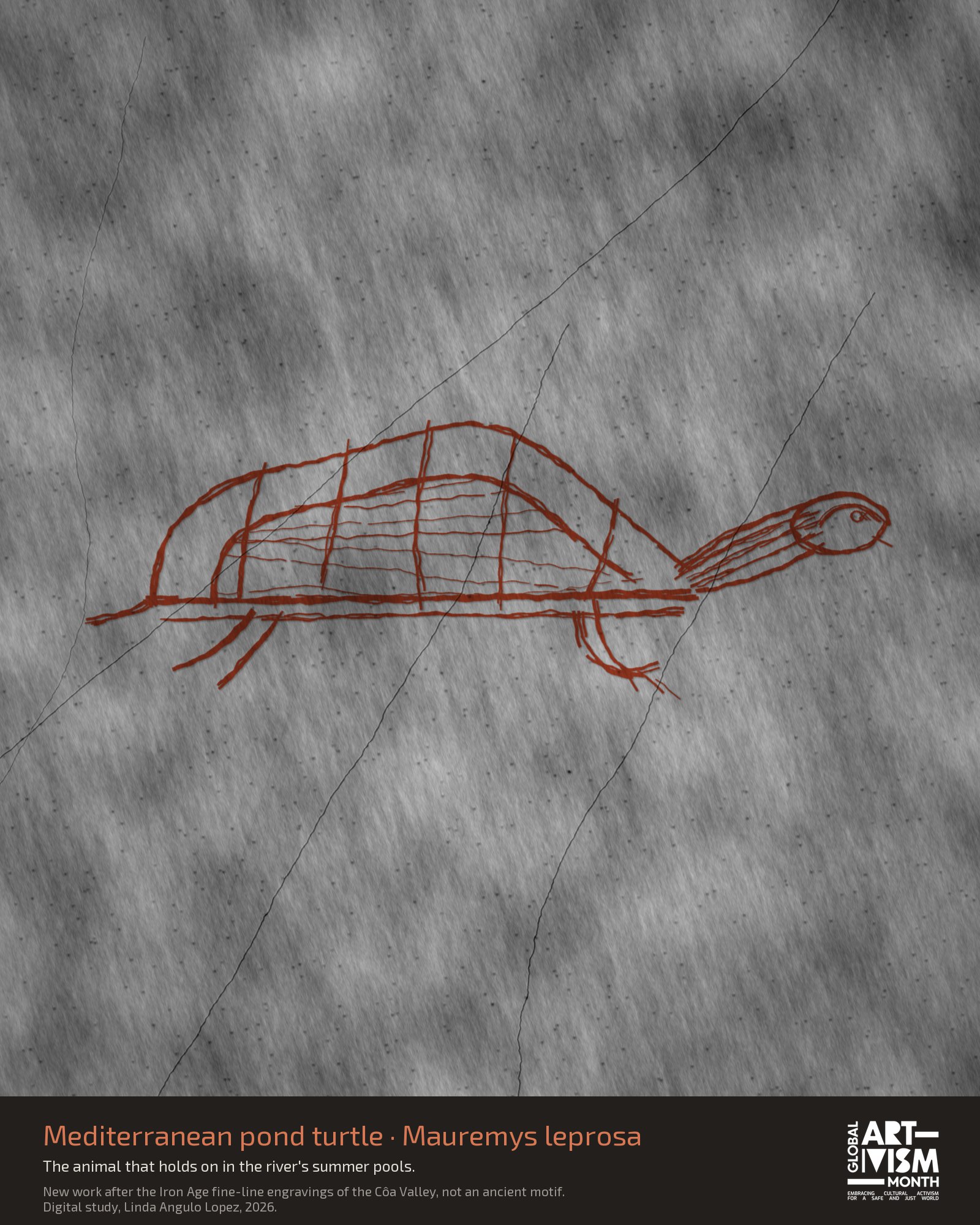 Digital study: Mediterranean pond turtle in rough burnt sienna lines on grey schist, after the Iron Age fine-line engravings of the Côa Valley, with a low shell and a striped neck